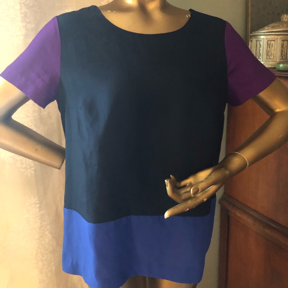 J Crew- Blue Color Block Top